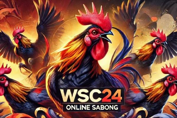 斯科尔斯：不认为马雷斯卡适合曼联，但要选择他我也不会意外